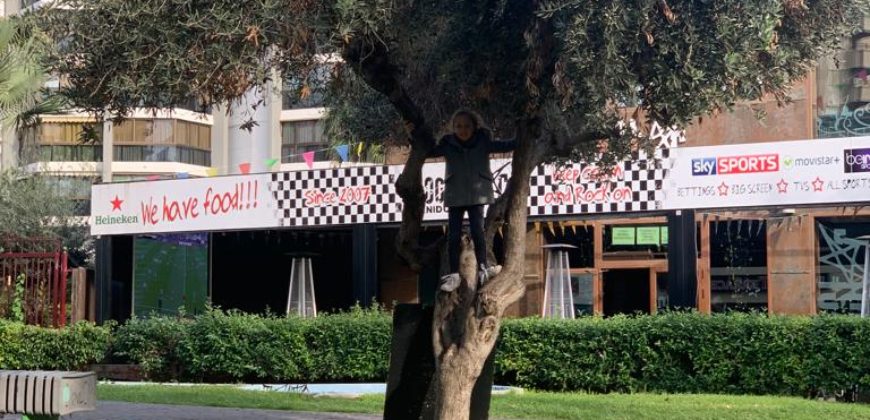 Cafe Bar